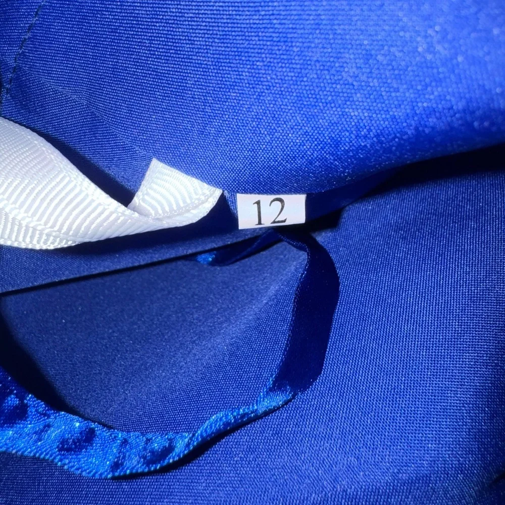 Elegant Blue Dress with Red Accent - Picture 5 of 9